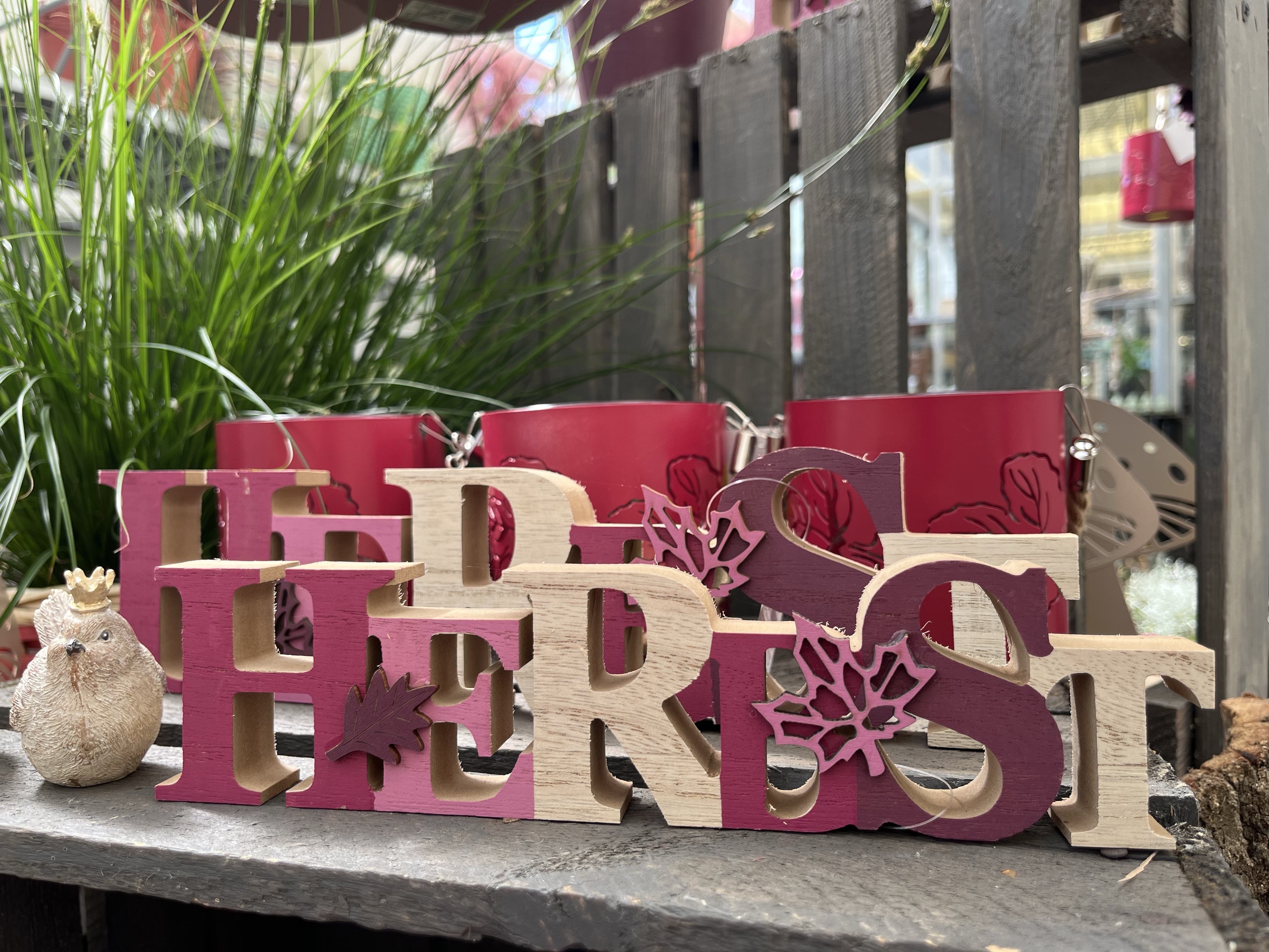 Herbstdeko in der Gärtnerei Schulze Eckel