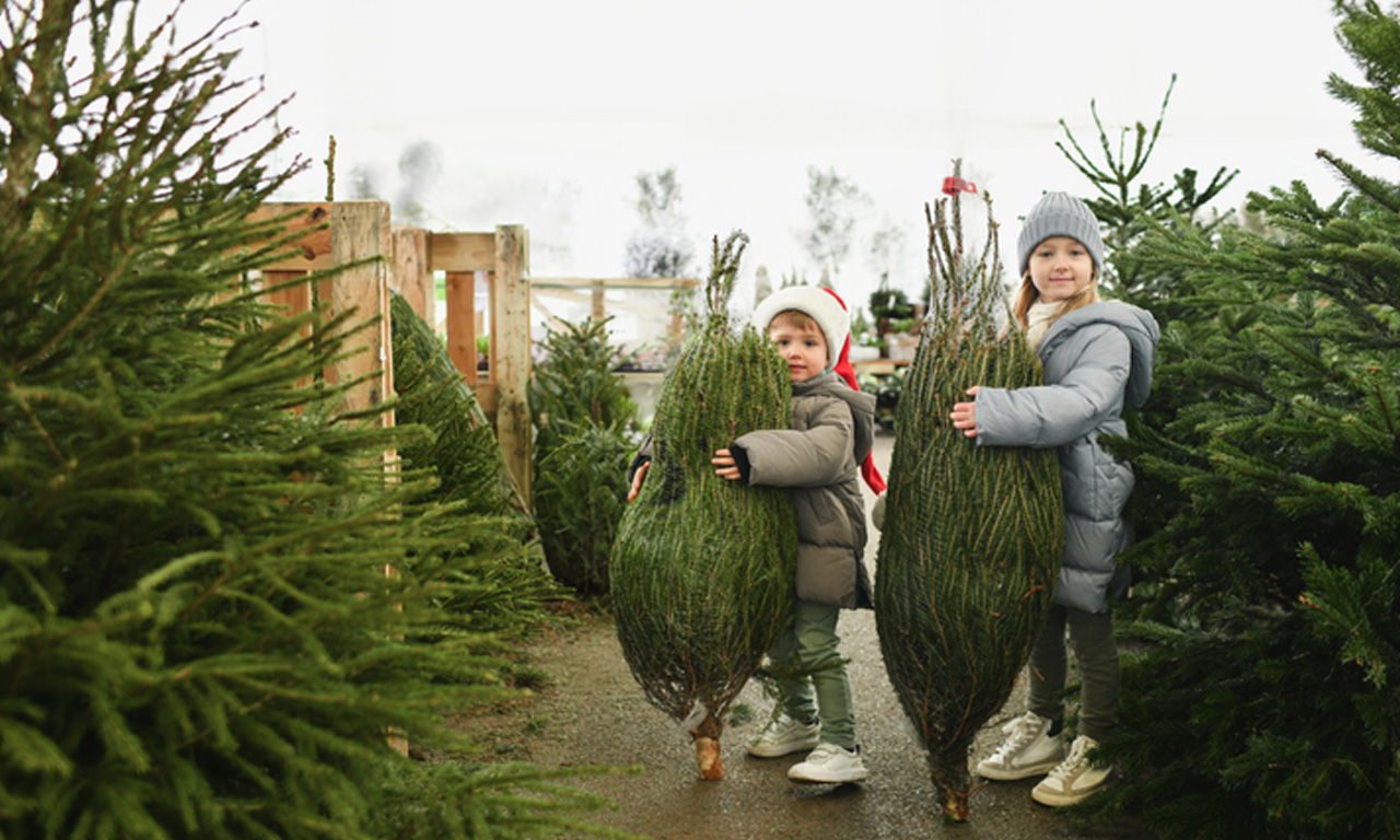 gutscheinbox liknaris Kinder mit Weihnachtsbäumen