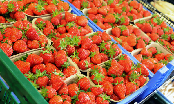 Erdbeeren vom Hofladen lütke Zutelgte